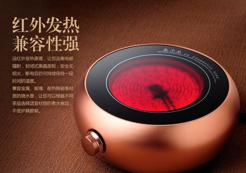 电陶炉茶炉家用德国进口迷你煮茶器小型电磁炉特价静音铁壶泡茶炉