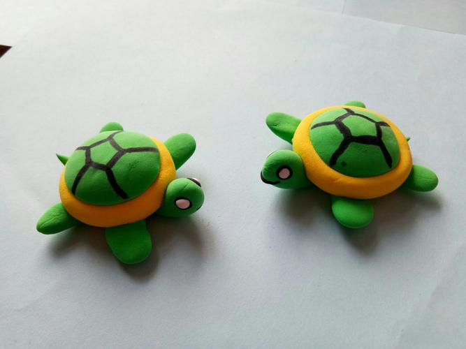 唉呀!你们晒朋友圈我来晒晒我的龟壳