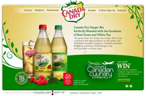 国外超酷软饮料品牌网站欣赏