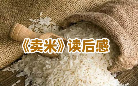 卖米读后感