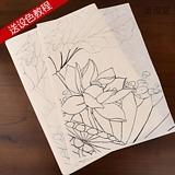 上新工笔画白描底稿临摹练习初学者入门国画水彩花鸟牡丹勾线熟宣