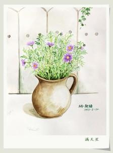 初学水彩,感受水彩带来的惊喜.自己种的满天星.