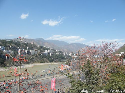 读毛老师《仁和那棵攀枝花》感赋