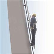 (铁塔)导向型防坠落装置