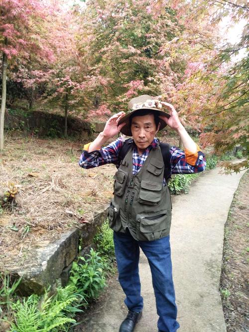 巴南松木嘴红叶