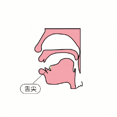 很多孩子混淆前,后鼻音,做相关语文题目时"屡错不改",给拼音学习带来