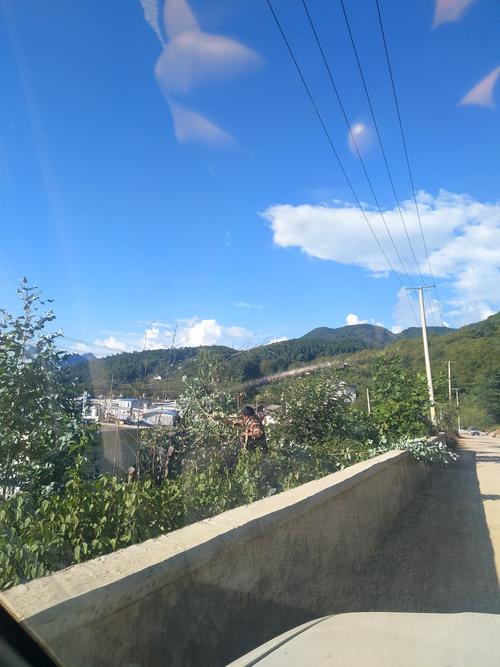 再见杨柳,你好蒲缥. - 美篇