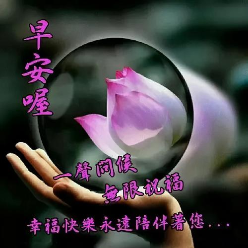 早上好精选祝福心语,2021年清晨祝福图片,只为今天更快乐,早安,朋友!