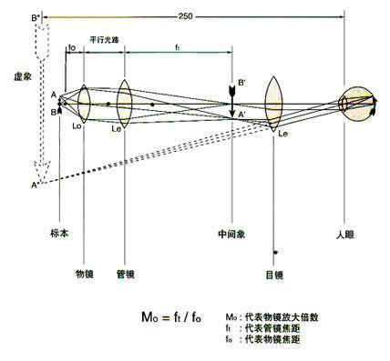 成像原理示意图