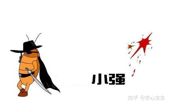 蟑螂"小强"的自白:没有头,我也能活!
