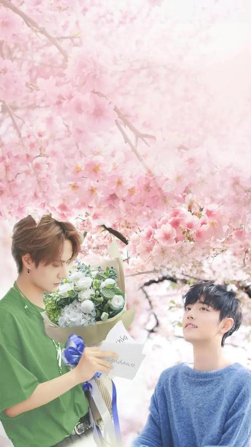 肖战王一博全屏壁纸