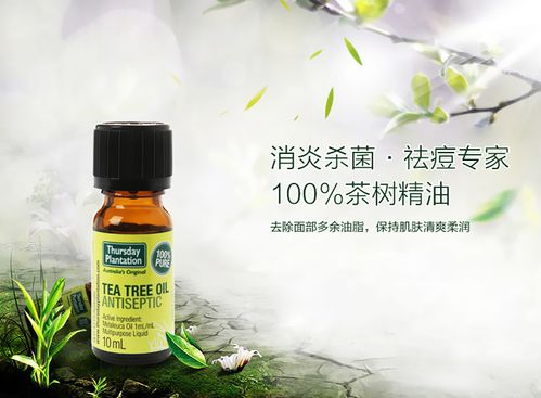 茶树精油的使用方法omg太全了