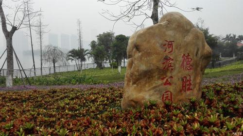 带着新爱游顺德容桂德胜河畔公园