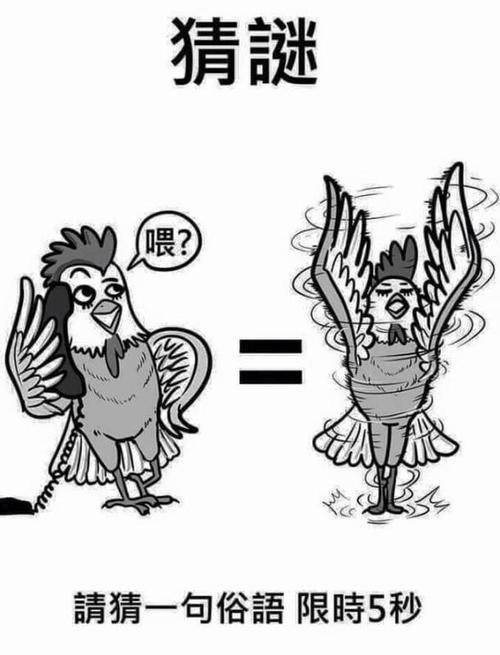 简笔画猜灯谜答案