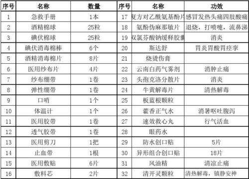 副本公司常备药品清单