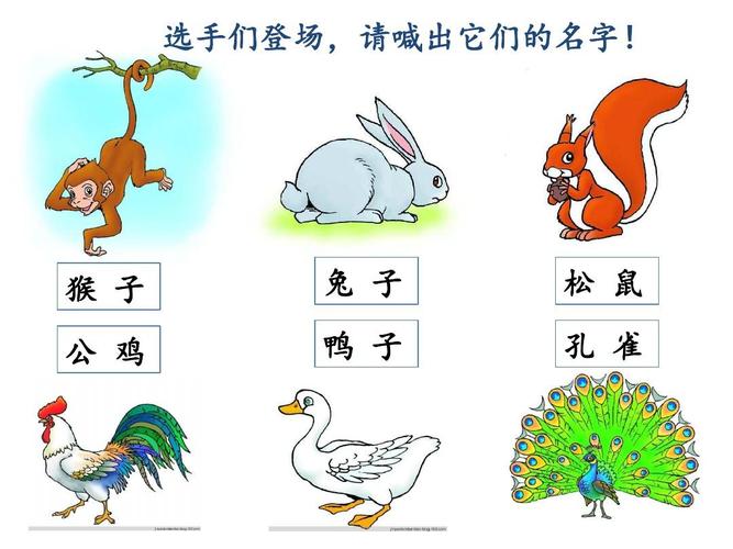 2017部编本一年级上册《比尾巴》