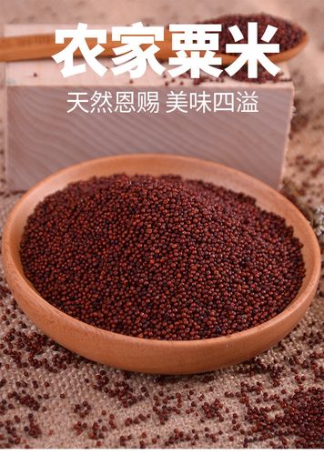 广西特产鸭脚粟龙爪粟 鸡爪粟 拳头栗 红粟米5斤包邮_7折现价35.8元