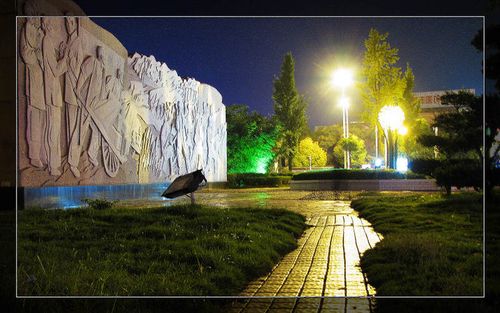 【夜晚散步随拍摄影图片】街心花园生活摄影_取景不尽