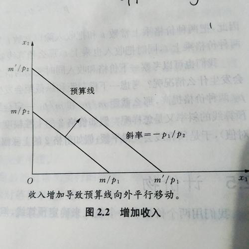 求解 x2/x1,按此比率用商品1替代商品2,仍能满足预算约束(budget