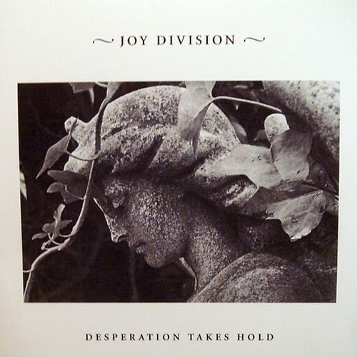 后朋狗提一嘴joydivision
