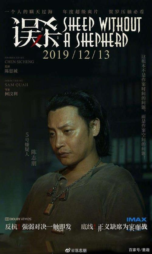 陈志朋《误杀》海报