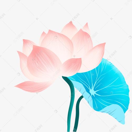 彩色水彩荷花植物