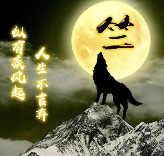 100张狼图腾姓氏头像,霸气版!我们都应该像狼一样去生活
