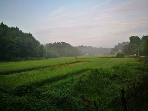 乡村的早晨
