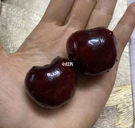 进口车厘子品种拉宾斯bing雷尼尔对比