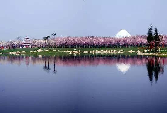 中欧班列让青白江接轨世界