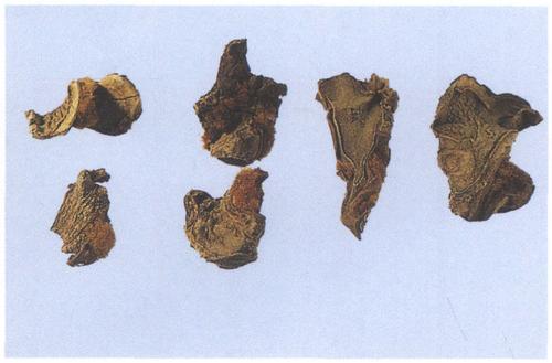 图44-2 生狗脊饮片