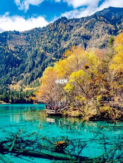 四川旅游|九寨沟达古冰川毕棚沟4日游攻略_冰川_旅行