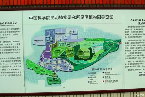 精安宁金方森林温泉和昆明植物园自驾游