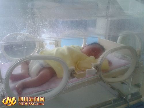 新闻  弃婴在垃圾池内被发现 原标题:广汉一刚出生婴儿被弃垃圾池 将