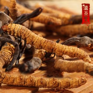滋益堂年新虫草西藏那曲冬虫夏草正品-条克