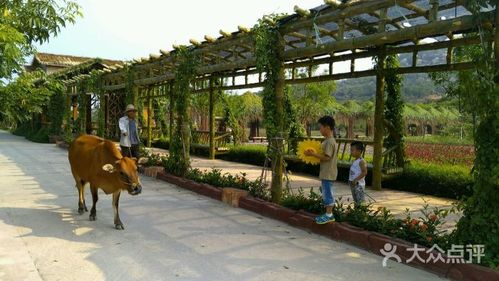 丹樱生态园图片 - 第1张