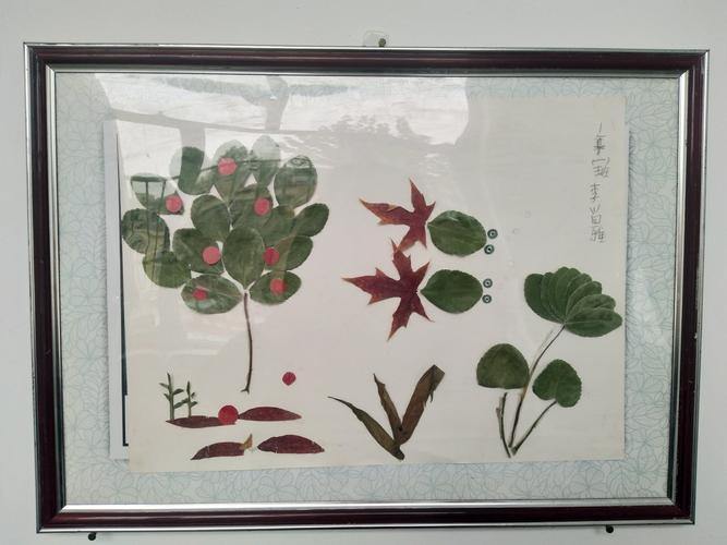冬日暖阳,落叶有情――胜利街小学一一班优秀树叶画作品展示
