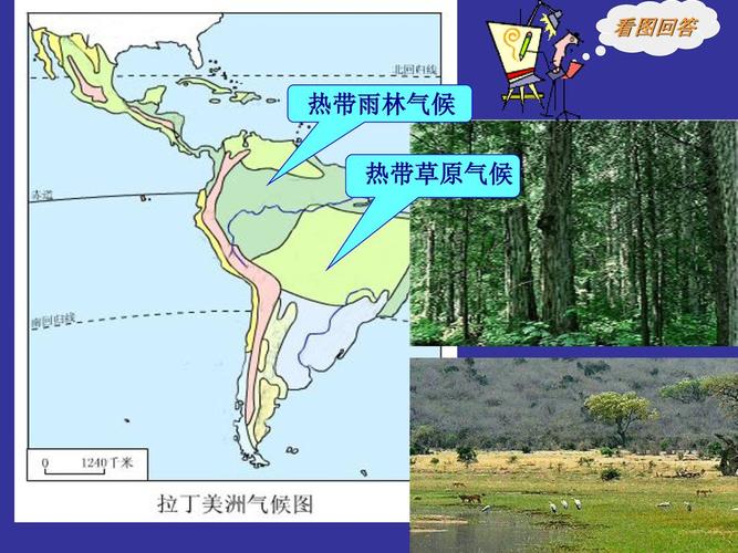 7亿 占拉丁美洲的 百分比(%) 33 占拉丁美洲的 百分比(%) 在世