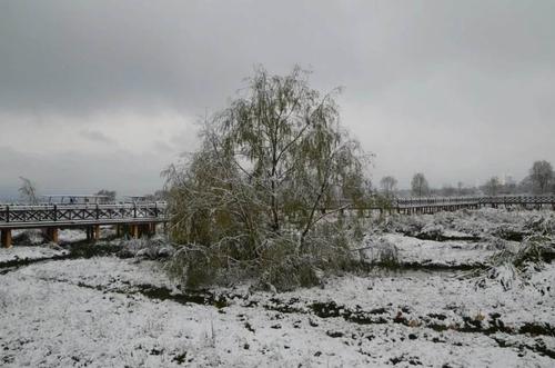 中国威宁草海雪景