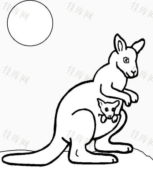 袋鼠 动物  简笔画可爱卡通袋鼠简笔画 - 森林动物 简笔画 -袋鼠妈妈