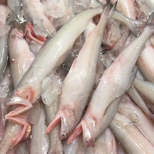 淘上鲜野生豆腐鱼龙头鱼2斤装4斤包邮