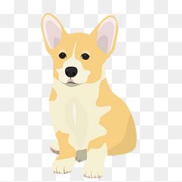 "柯基犬"
