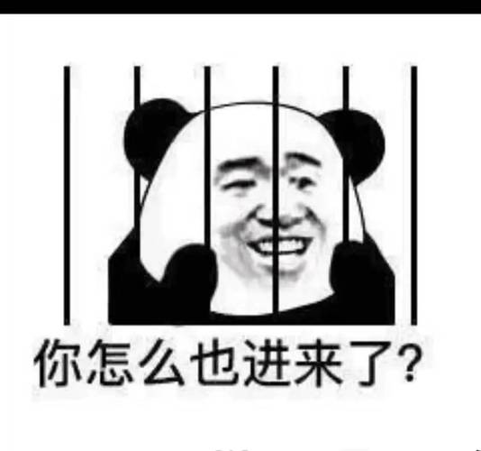 (熊猫头)_熊猫_进来_怎么表情