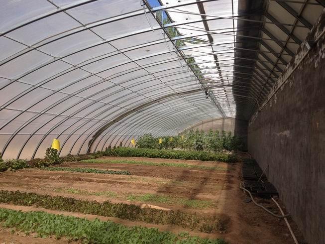 包头庭院日光温室搭建庭院日光温室安装搭建一大棚安