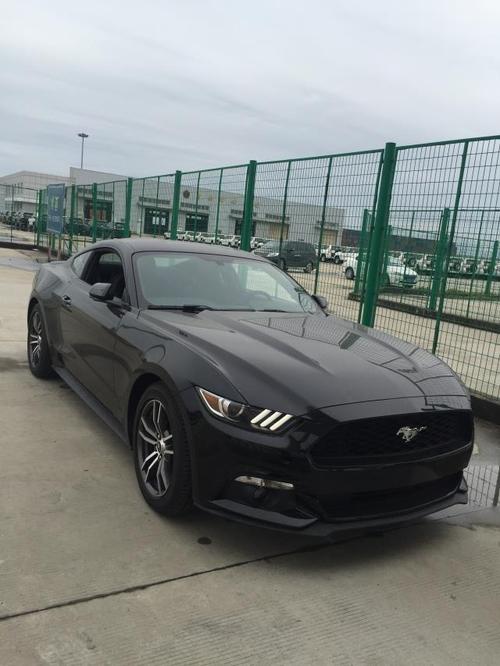 17款野马加拿大版敞篷野马电光蓝多少钱16款福特野马2