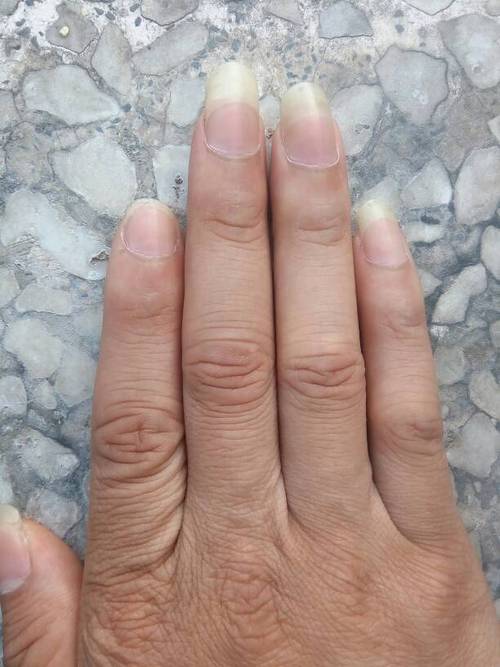 据科学家说无名指比食指长越多,女人缘越好.