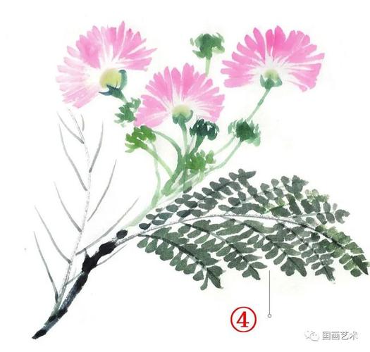 书画联盟丨写意合欢花康乃馨画法示范