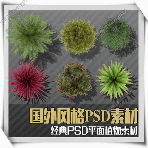 j7092015园林景观规划总平面图psd图案叠加ps彩平后期渲染素材