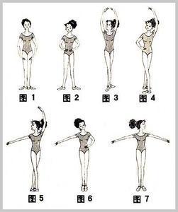 芭蕾手势七个手位简笔画