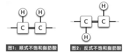 反式脂肪酸真的有那么可怕?